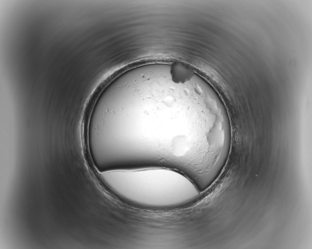 X0000096471030200801241134