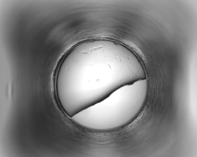 X0000096471031200801241134