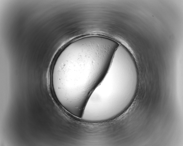 X0000096471032200801241134