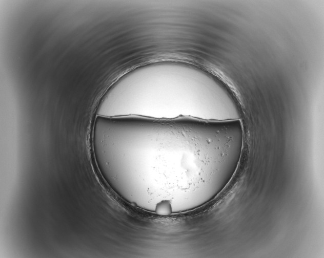 X0000096471033200801241134