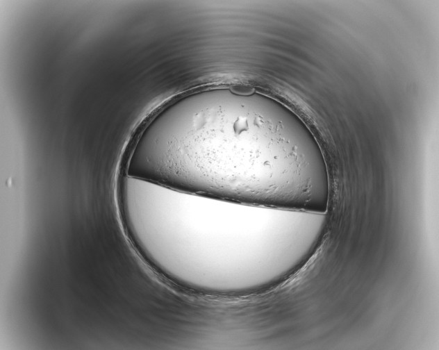 X0000096471034200801241134