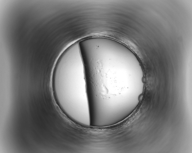 X0000096471036200801241134