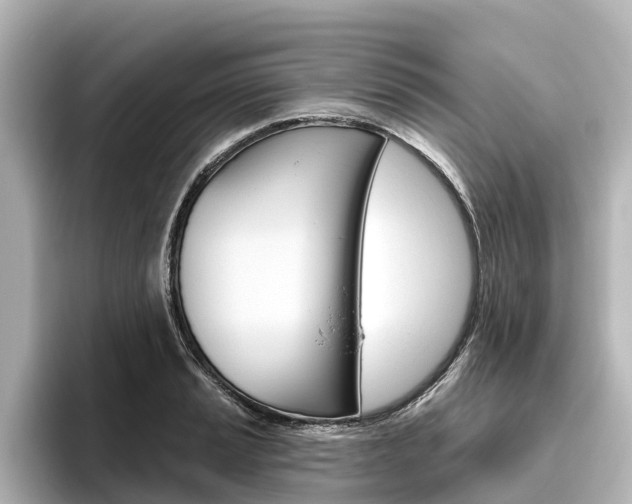 X0000096471037200801241134