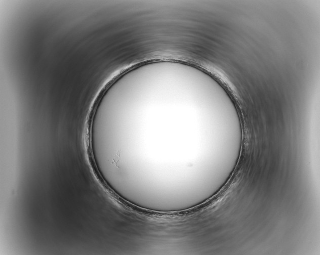 X0000096471040200801241134