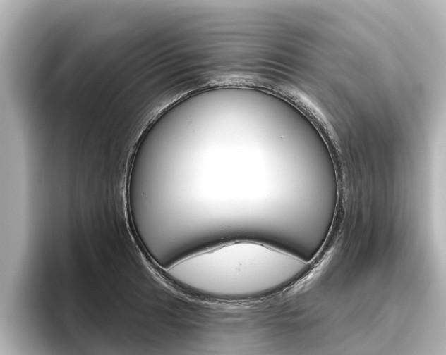 X0000096471041200801241134