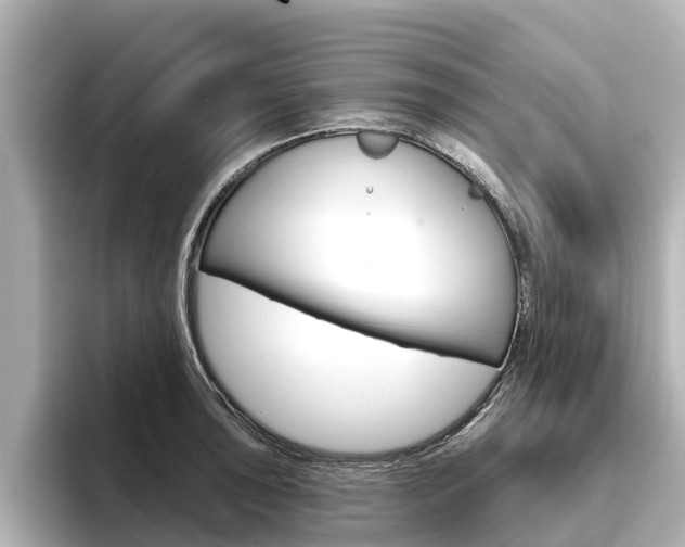 X0000096471043200801241134
