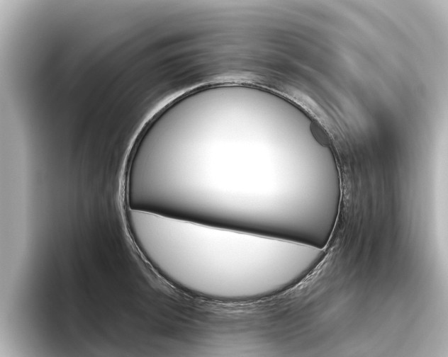 X0000096471044200801241134