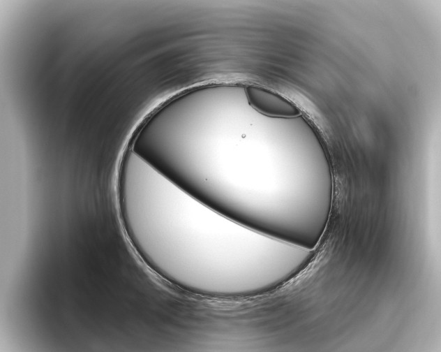 X0000096471046200801241134