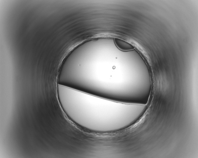 X0000096471049200801241134
