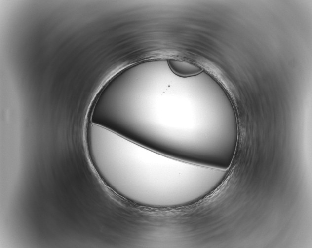X0000096471050200801241134