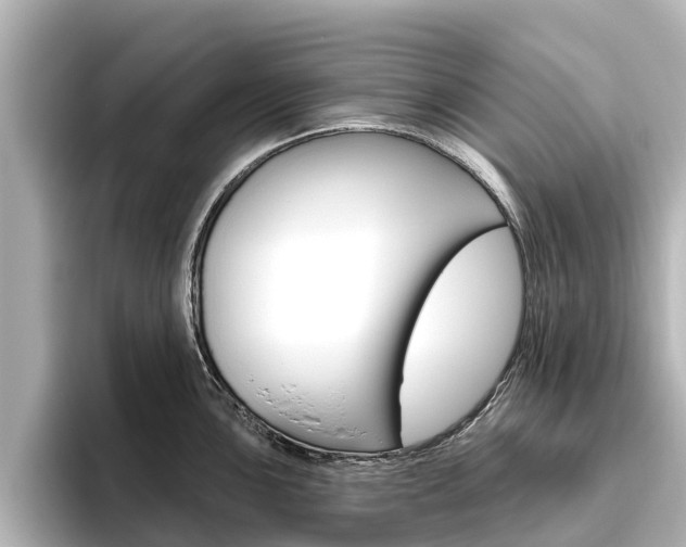 X0000096471051200801241134