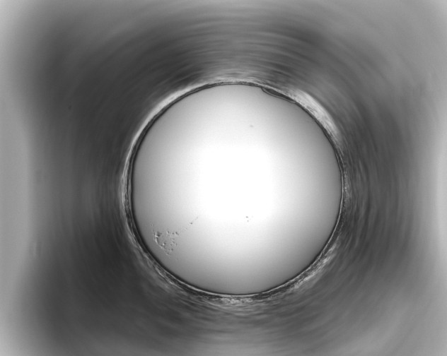 X0000096471052200801241134