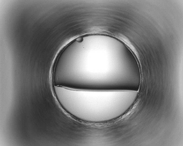 X0000096471053200801241134
