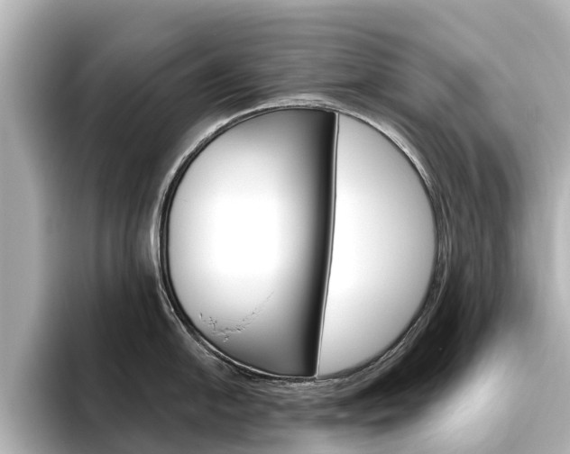 X0000096471054200801241134