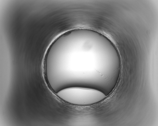 X0000096471056200801241134