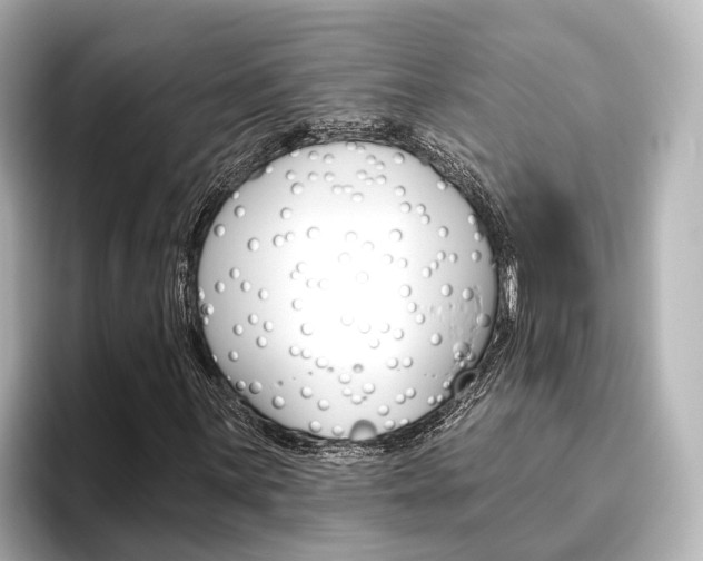X0000096471059200801241134