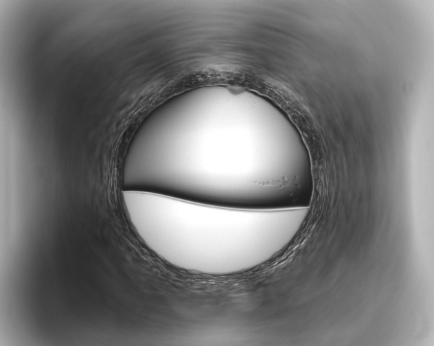 X0000096471061200801241134