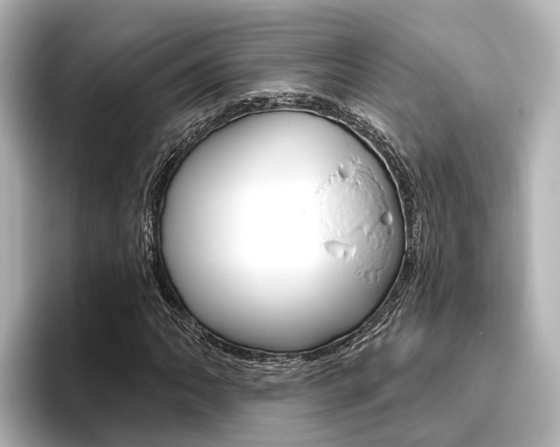 X0000096471062200801241134