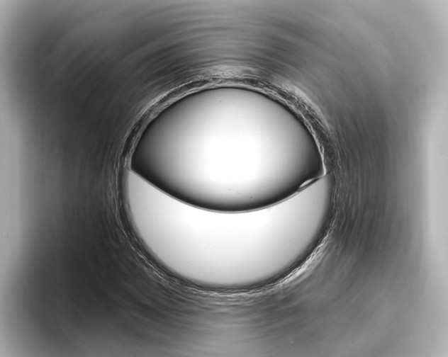X0000096471065200801241134