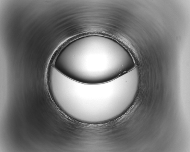 X0000096471068200801241134