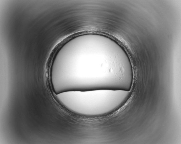 X0000096471070200801241134