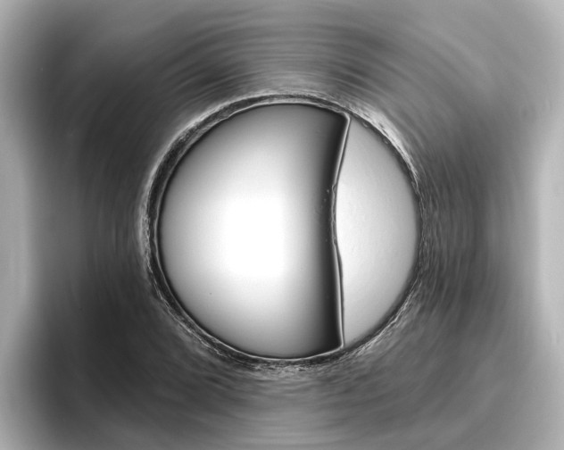 X0000096471072200801241134