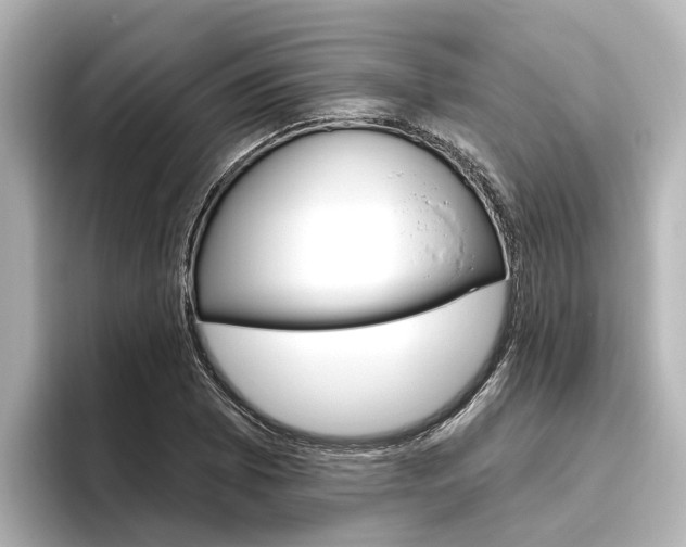 X0000096471073200801241134