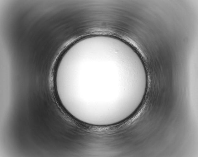 X0000096471074200801241134