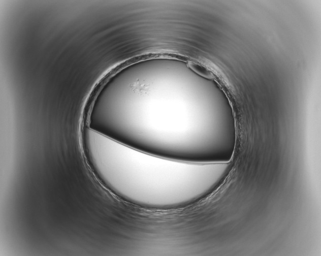 X0000096471076200801241134