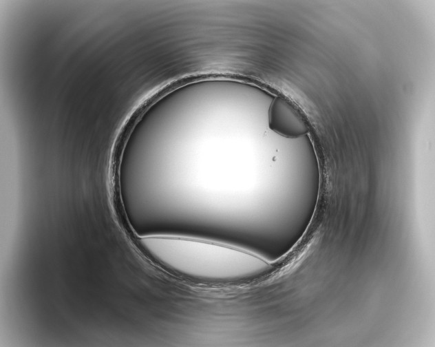 X0000096471077200801241134