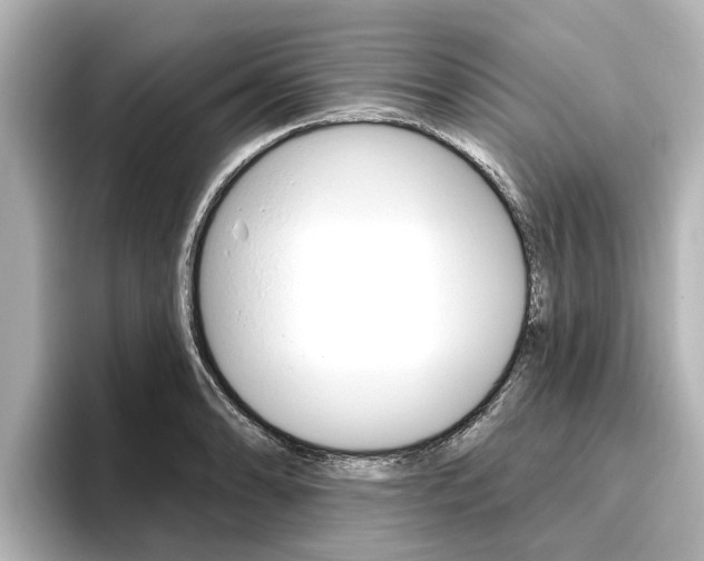 X0000096471086200801241133