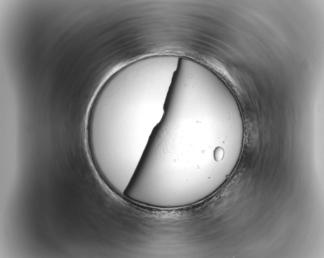 X0000096471087200801241133