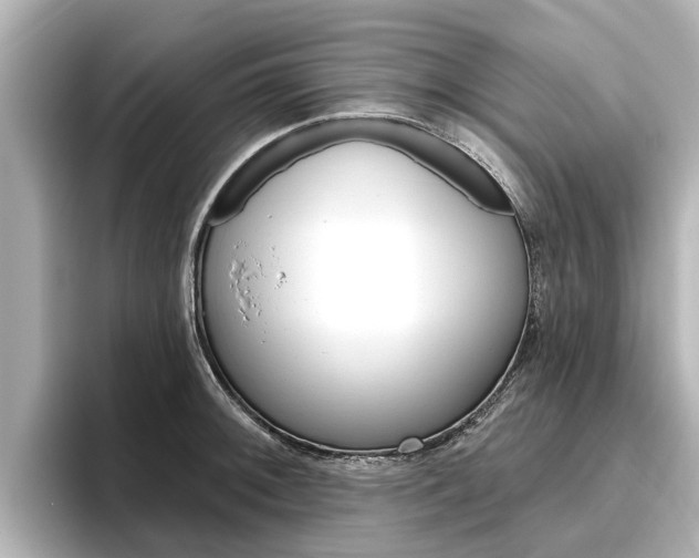 X0000096471092200801241133