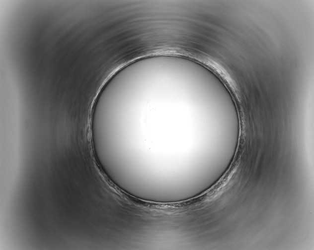 X0000096471097200801241133