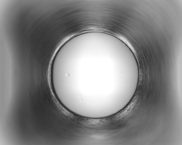 X0000096471098200801241133