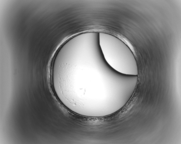 X0000096471099200801241133