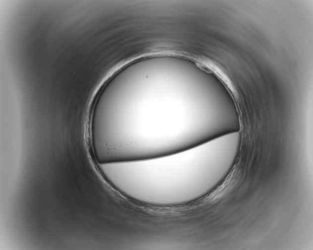 X0000096471101200801241133