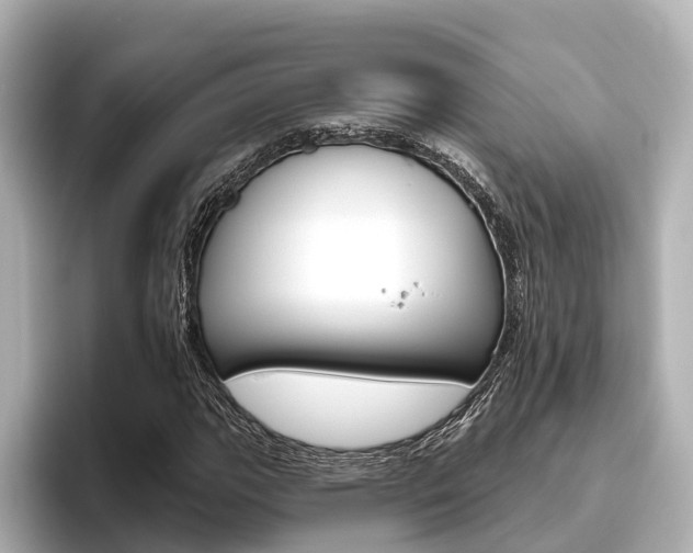 X0000096471111200801241133