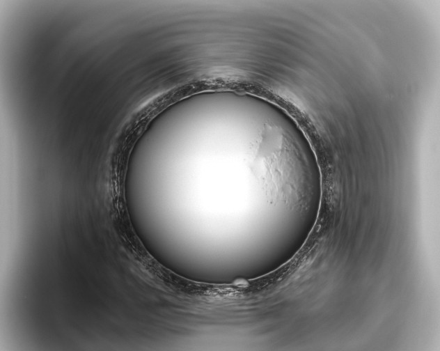 X0000096471112200801241133
