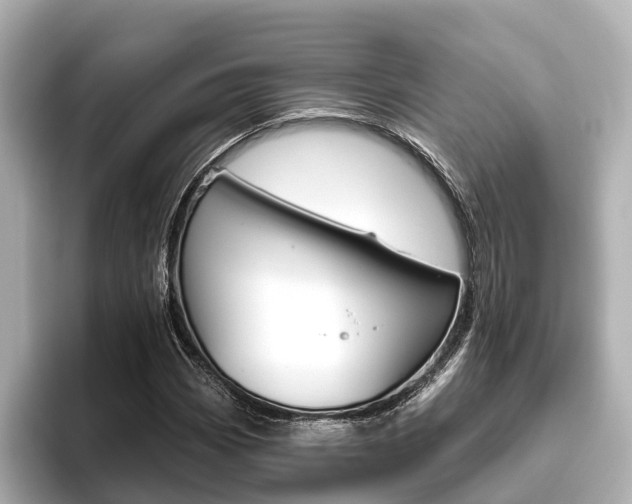 X0000096471113200801241133