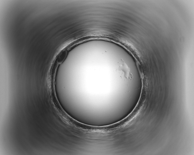 X0000096471114200801241133