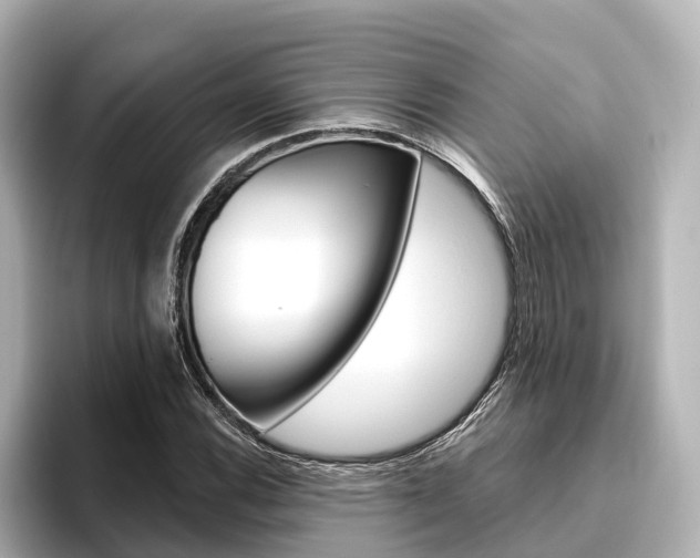 X0000096471116200801241133