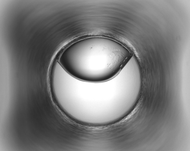 X0000096471122200801241133
