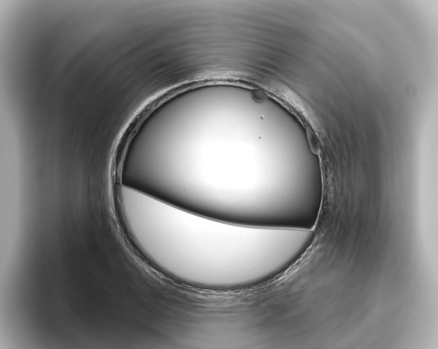X0000096471124200801241133