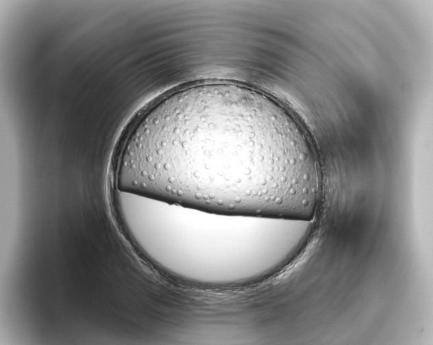 X0000096471125200801241133