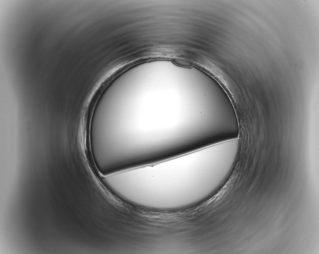 X0000096471131200801241133