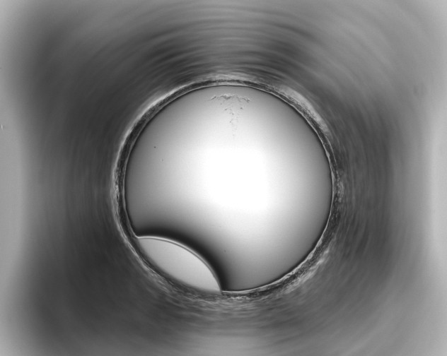 X0000096471133200801241133
