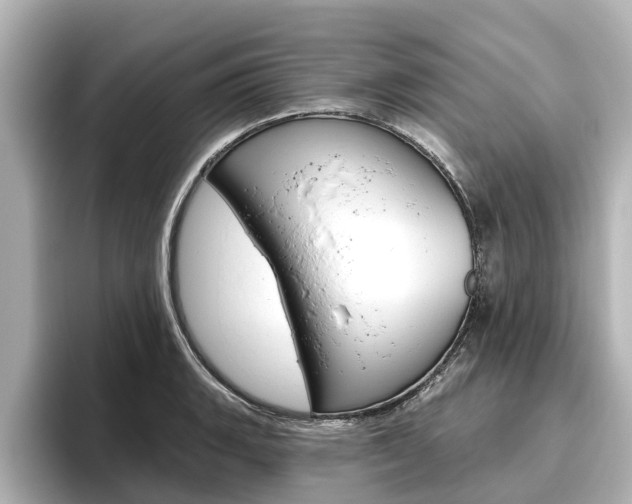 X0000096471135200801241133