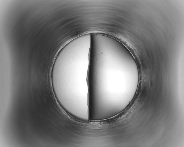 X0000096471137200801241133