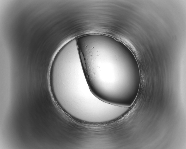 X0000096471138200801241133